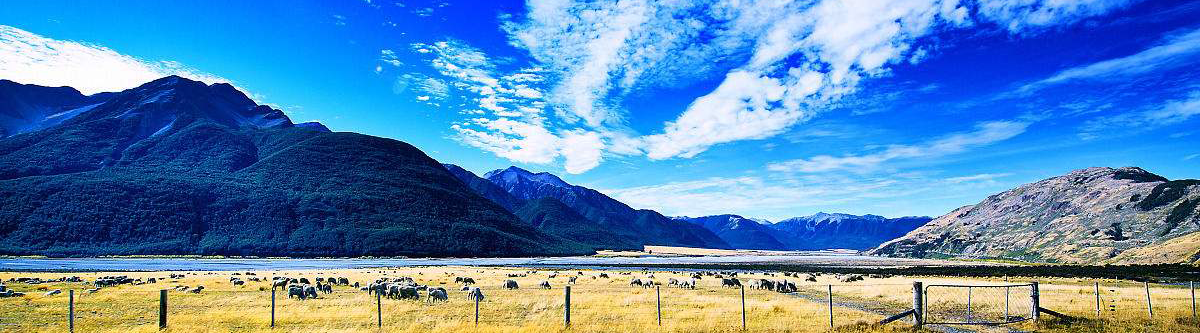 2002年被《中國工商報》評為特別關注品牌的企業